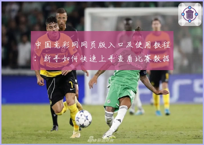 中国竞彩网网页版入口及使用教程：新手如何快速上手查看比赛数据