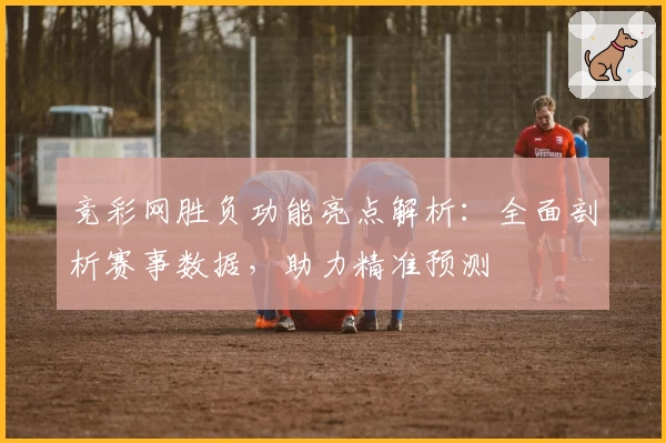 竞彩网胜负功能亮点解析：全面剖析赛事数据，助力精准预测